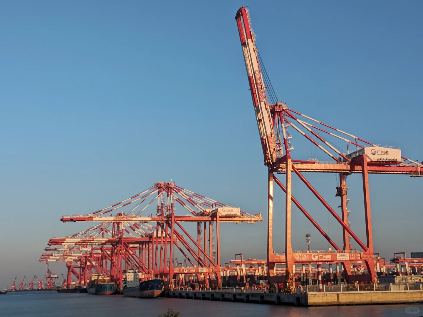 如何理解海運中的“甩柜”？